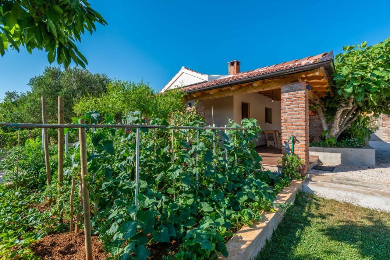 Villa Navita Augustinus With Pool Debeljak Εξωτερικό φωτογραφία